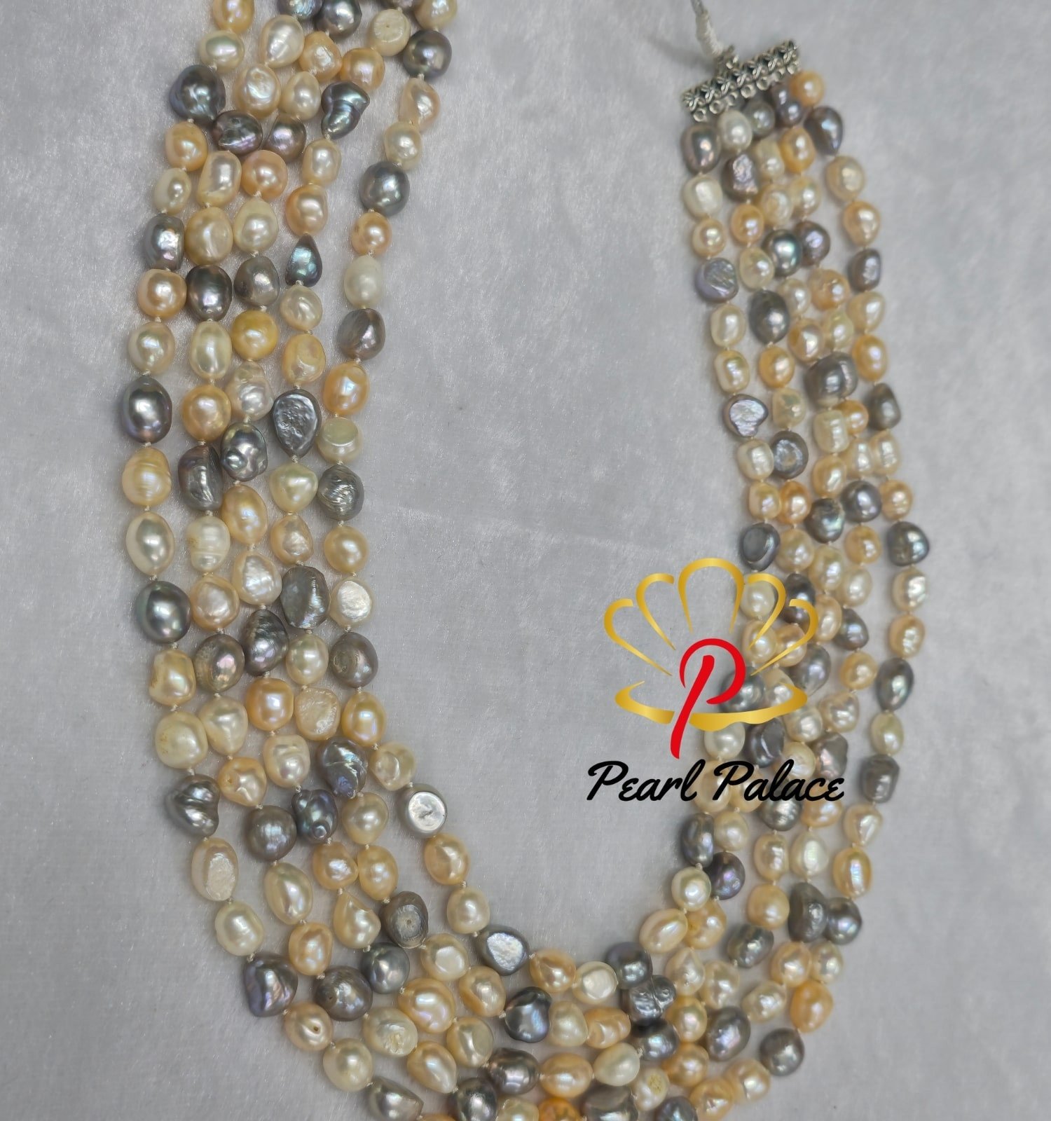 2025101305353435757-isha-appupnext.jpg