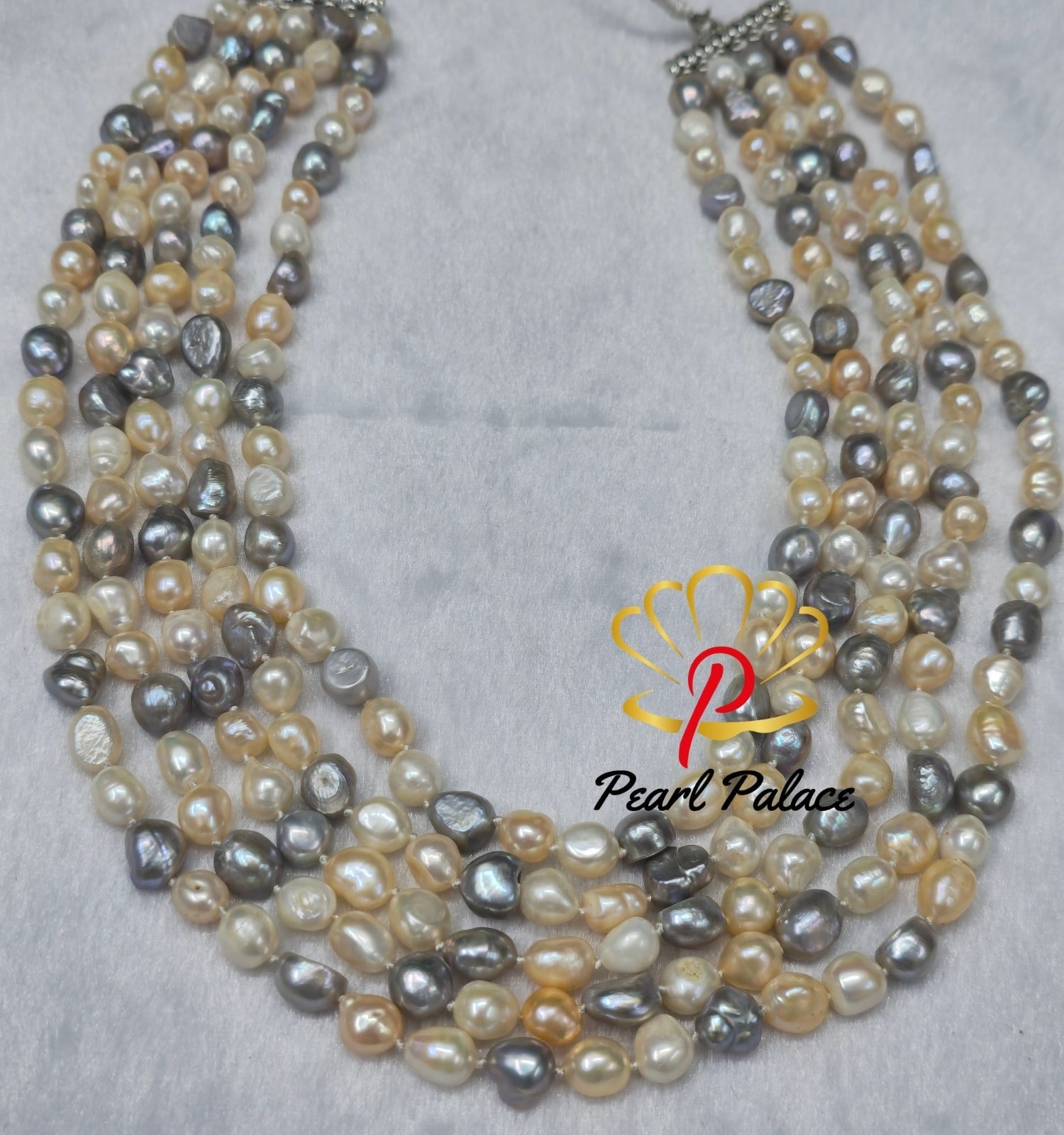 2025101305353452253-isha-appupnext.jpg