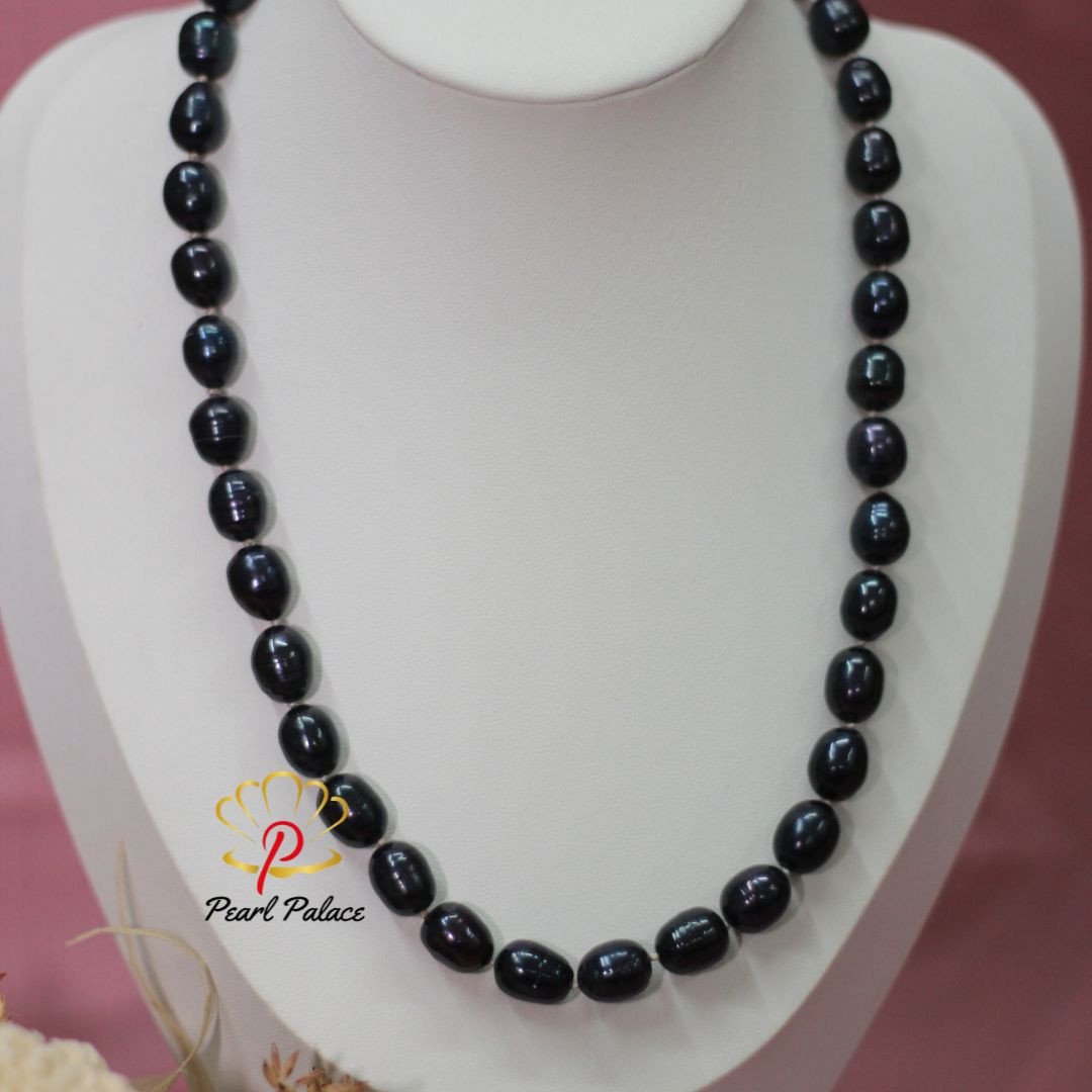 2026081722435857067-pearlpalace.jpg
